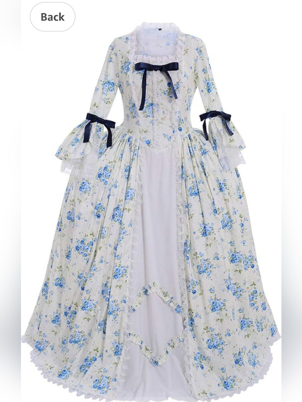 Floral Blue & White Rococo Gown